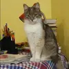 Отзыв от Ираида Беликова